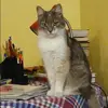 Отзыв от Тамара Дорохова